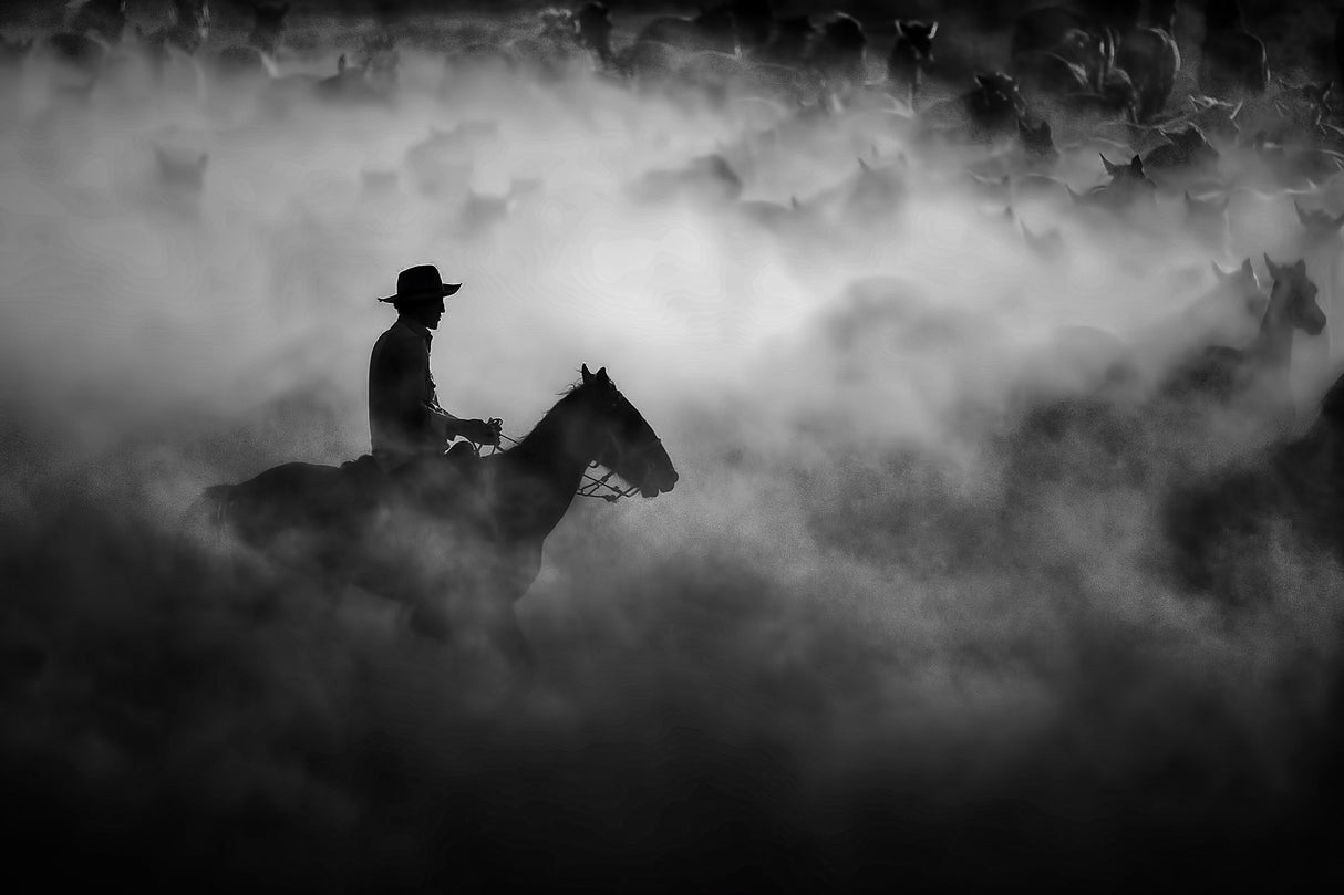 Cowboy Poster och Canvastavla
