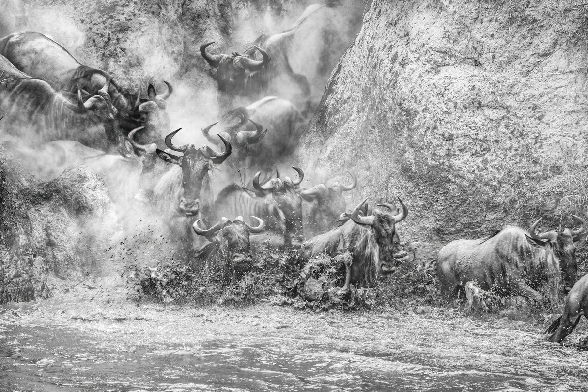 Chaos at the crossing Poster och Canvastavla