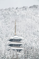 Tower of Winter Poster och Canvastavla