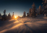 Burning Snow Storm Poster och Canvastavla