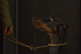 Le regarde Poster och Canvastavla
