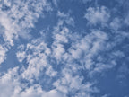 cloudy weather and sky background Poster och Canvastavla