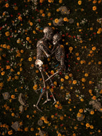 Memento Mori Poster och Canvastavla