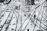 Along the rails Poster och Canvastavla