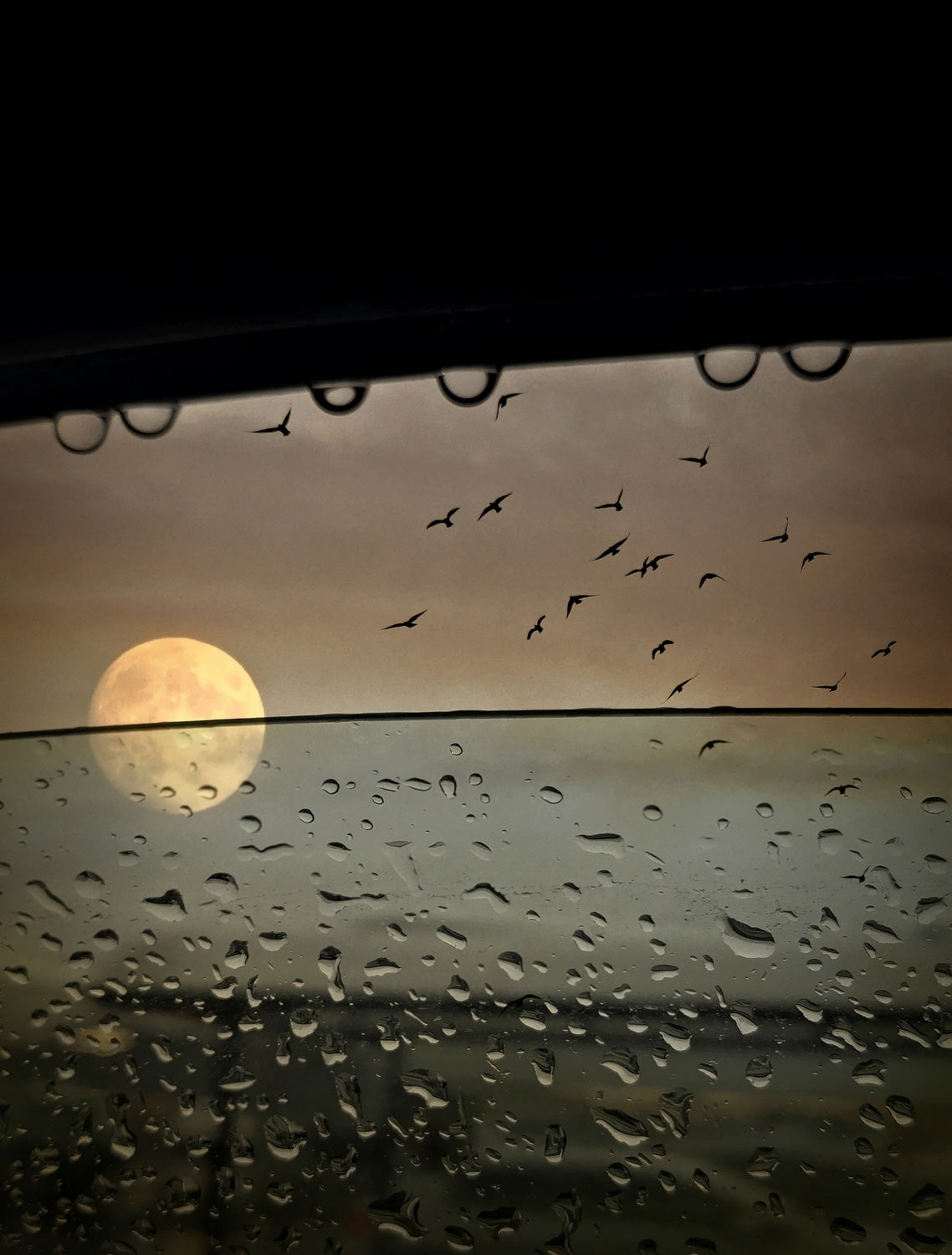 Rainy evening Poster och Canvastavla