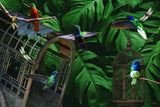 Tropical Hummingbirds Poster och Canvastavla