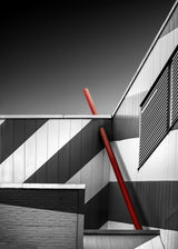 A little Red.... Poster och Canvastavla