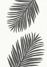 PALM LEAF 12 GRAPHITE GRAY Poster och Canvastavla