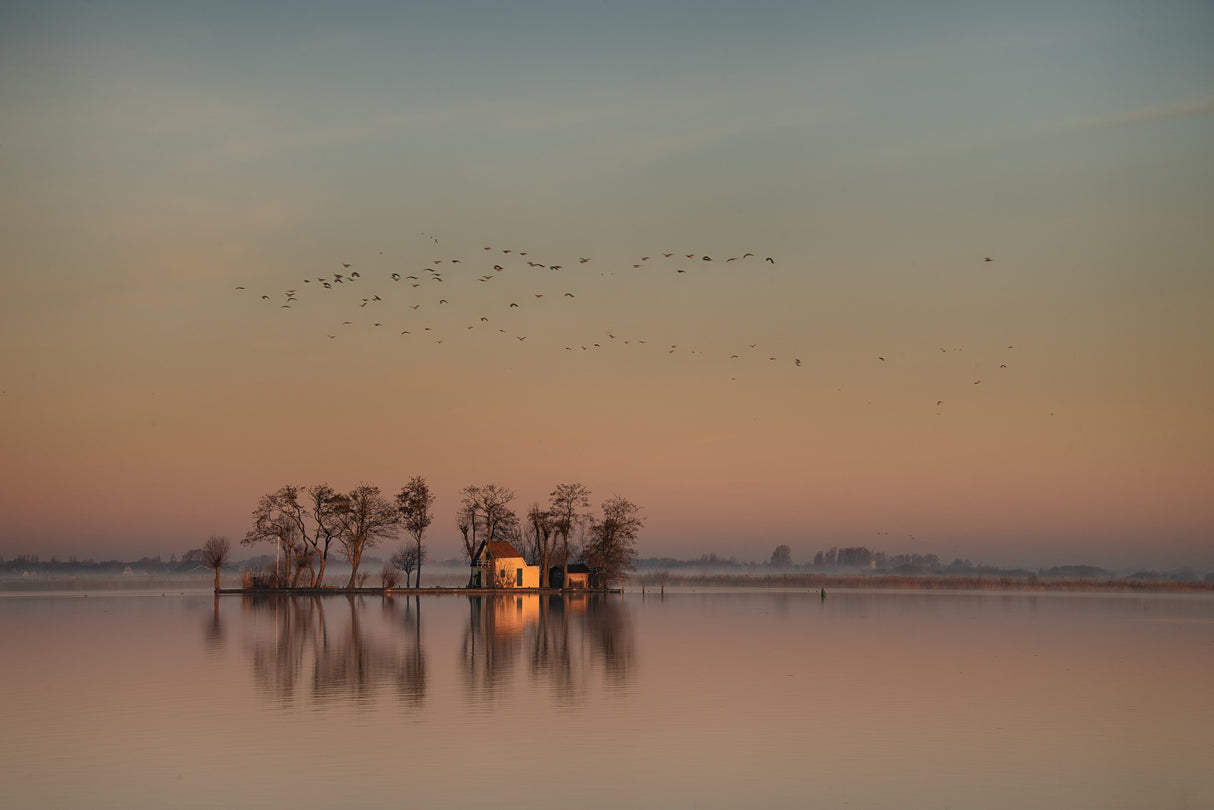 Sunrise at the lake. Poster och Canvastavla