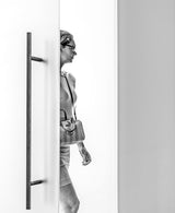 the lightroom door Poster och Canvastavla
