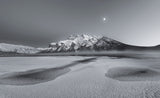 Cold moon Poster och Canvastavla