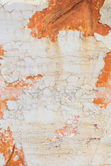 wall Poster och Canvastavla