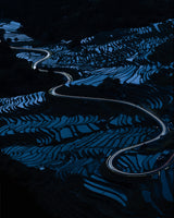 Blue paddy field Poster och Canvastavla