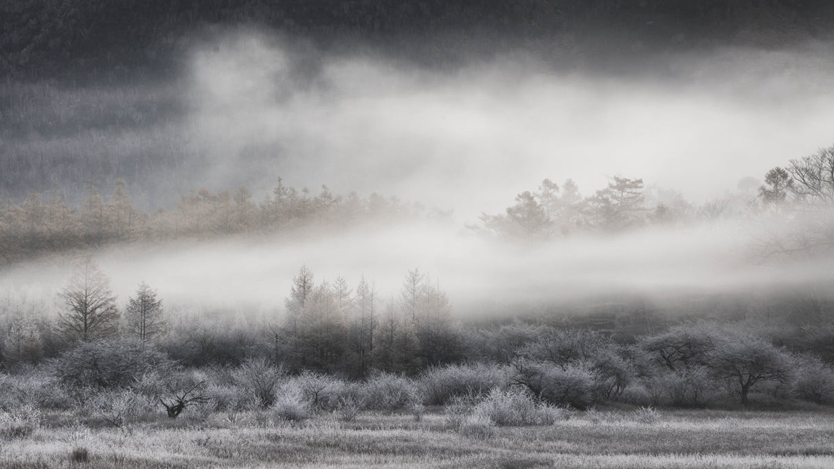 Freezing fog Poster och Canvastavla