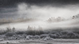 Freezing fog Poster och Canvastavla
