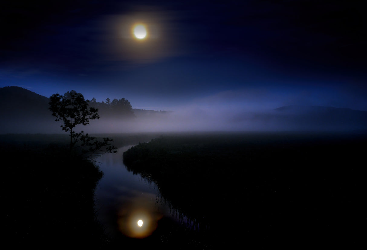 Banquet in the swamp lit by the Buckmoon Poster och Canvastavla