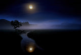 Banquet in the swamp lit by the Buckmoon Poster och Canvastavla
