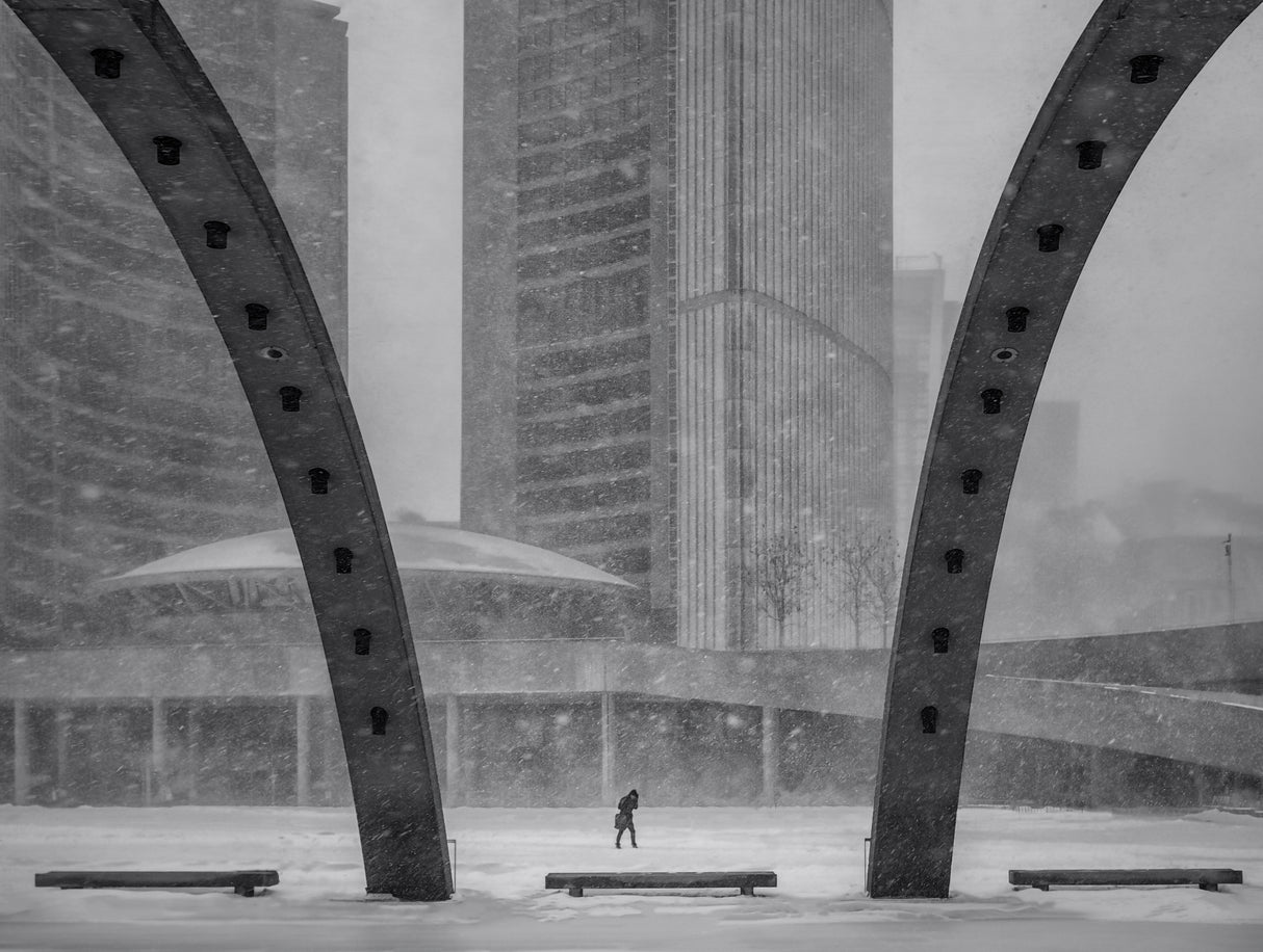 Snow in Toronto Poster och Canvastavla
