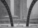 Snow in Toronto Poster och Canvastavla