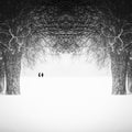 winter tale Poster och Canvastavla