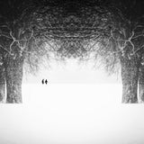 winter tale Poster och Canvastavla