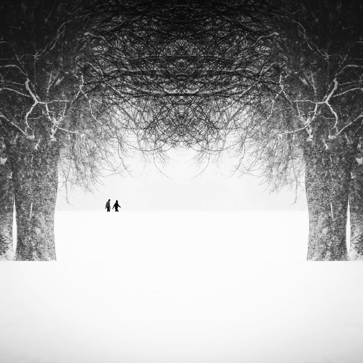 winter tale Poster och Canvastavla