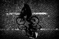 Cycling with Dad... Poster och Canvastavla