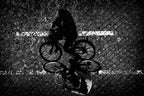 Cycling with Dad... Poster och Canvastavla
