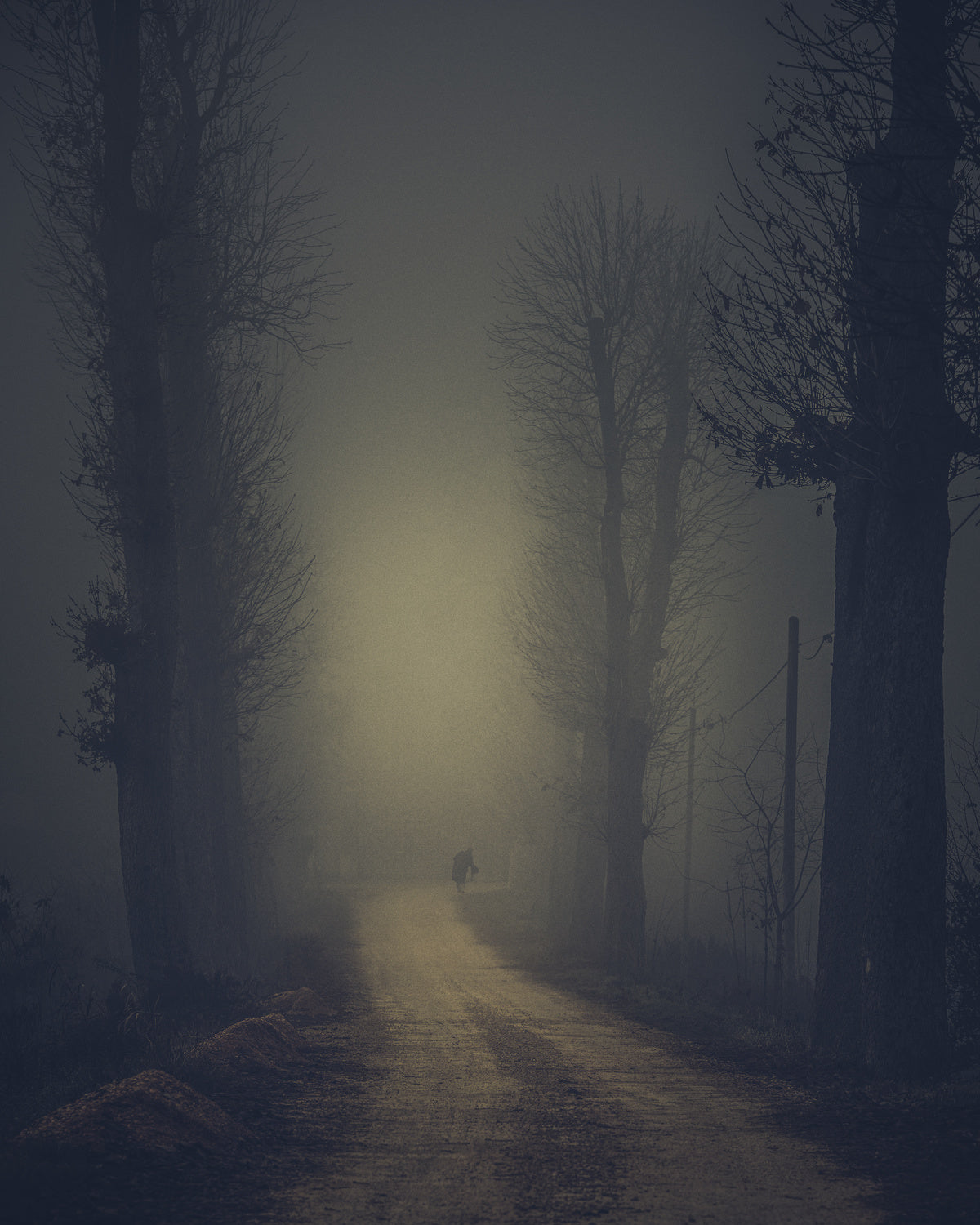 Man in the fog Poster och Canvastavla