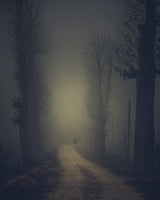 Man in the fog Poster och Canvastavla