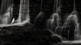 The spirit of the waterfall Poster och Canvastavla