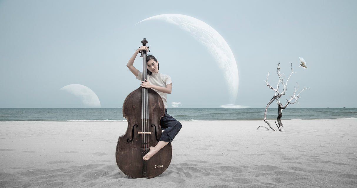 My music world Poster och Canvastavla