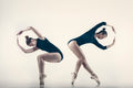 Ballet dancers II Poster och Canvastavla