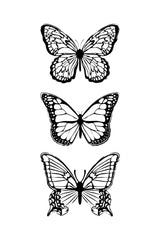 Black Butterflies Poster och Canvastavla