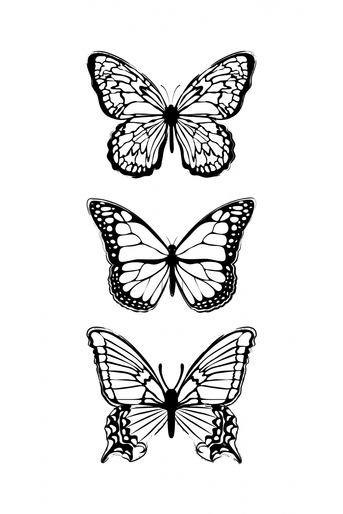 Black Butterflies Poster och Canvastavla