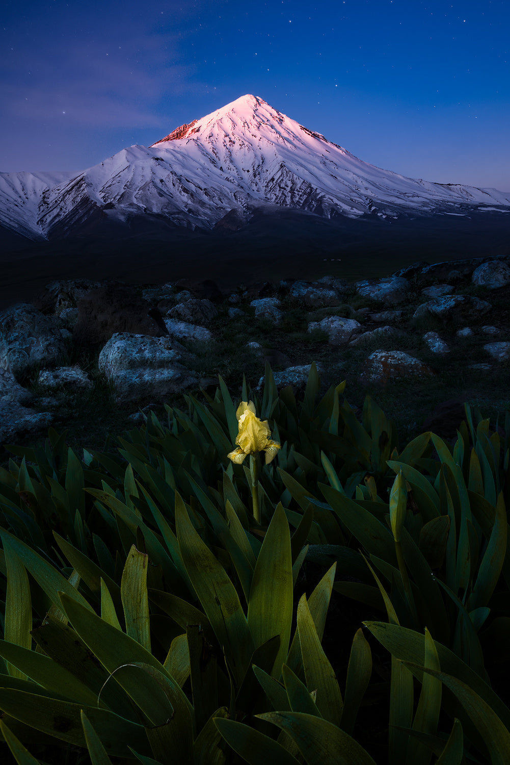 Mount Damavand in Blue Moments Poster och Canvastavla
