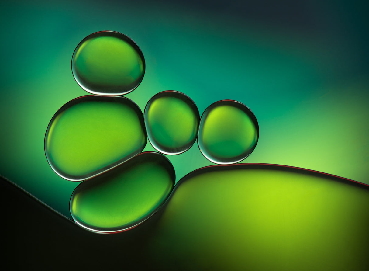Shades of Green Poster och Canvastavla
