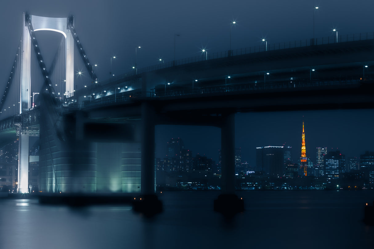Bridge at night Poster och Canvastavla