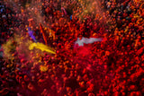 Celebrating the festival of colours Poster och Canvastavla