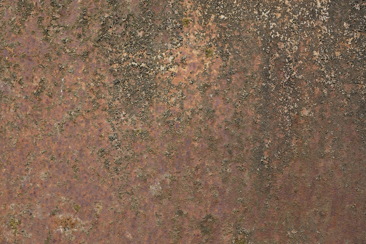 Rust 24 Poster och Canvastavla