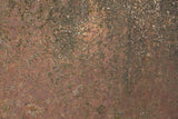 Rust 24 Poster och Canvastavla