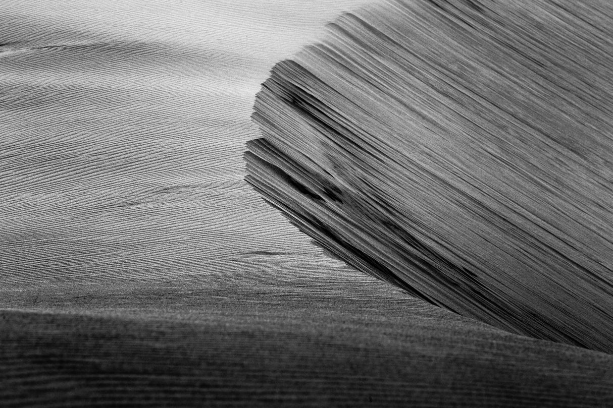 Sound of wind Poster och Canvastavla