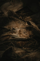 Botanical Series - Palm Bark Poster och Canvastavla