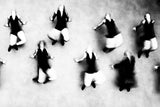 Dancing Memory Poster och Canvastavla