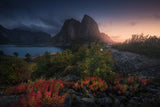 Autumn is Coming Poster och Canvastavla