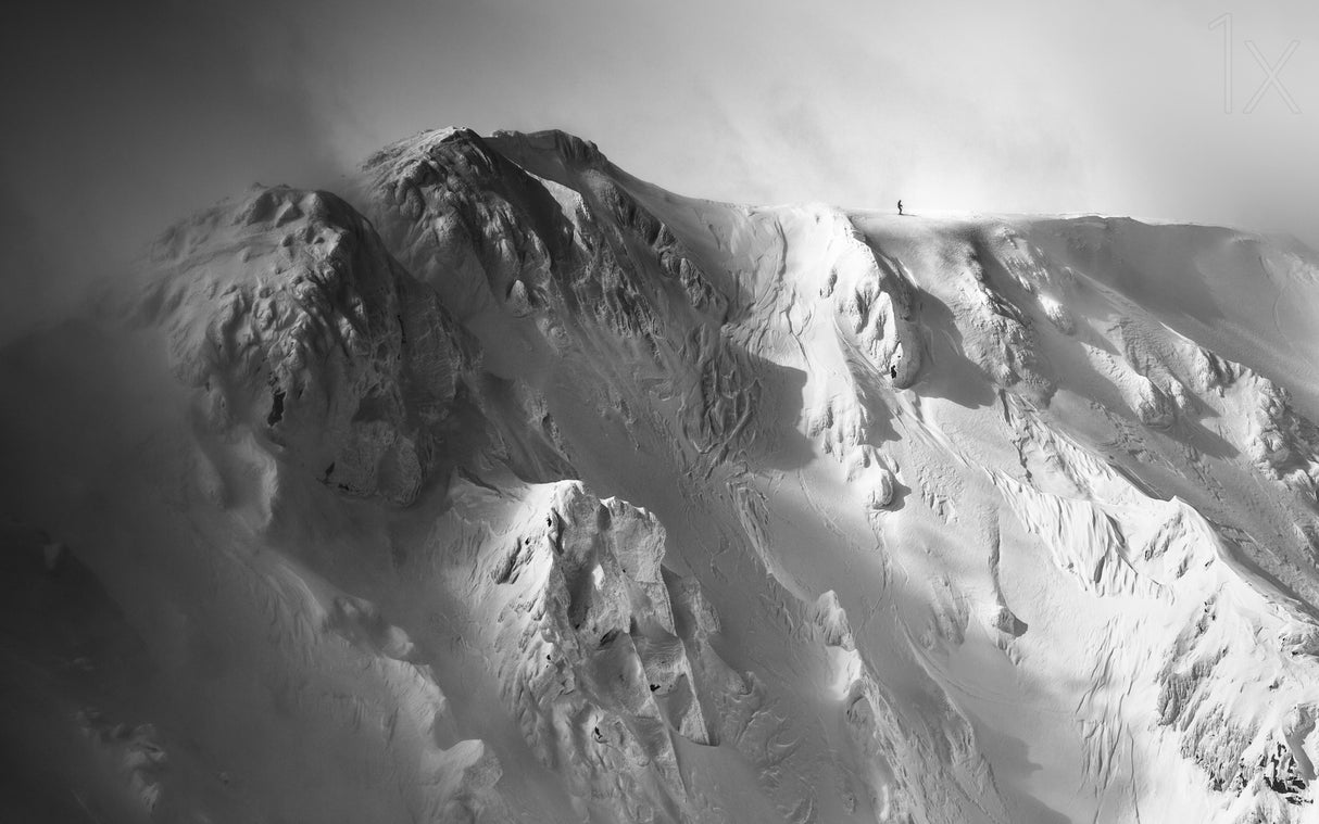 freeride . . Poster och Canvastavla