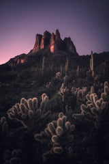 Wild Southwest Poster och Canvastavla