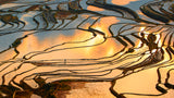 Yuanyang Hani Terraced Field-2 Poster och Canvastavla