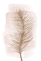 Pink Feather Poster och Canvastavla