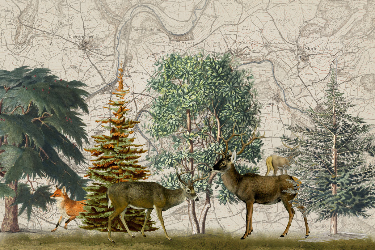 Nordic Woods No1 Poster och Canvastavla